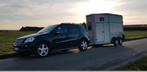 Paardetaxi, Vacatures, Vacatures | Chauffeurs