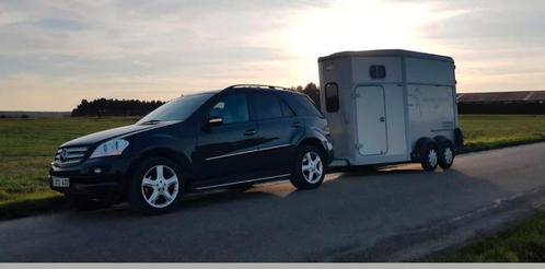 Paardetaxi, Vacatures, Vacatures | Chauffeurs