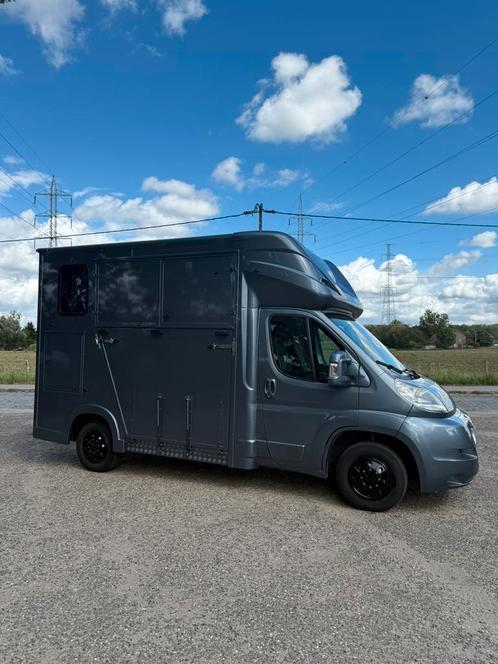 Paardenwagen Te Koop! (opbouw NIEUW), Dieren en Toebehoren, Paarden en Pony's | Trailers en Aanhangwagens, Zo goed als nieuw, Ophalen of Verzenden