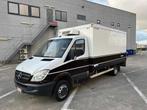 MERCEDES - 2008 - SPRINTER KOELWAGEN - 515 - Personenauto, Auto's, Gebruikt, Overige modellen, Bedrijf, Overige carrosserie
