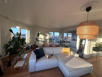 FEST EDGE ZETEL  beschikbaar voor biedingen