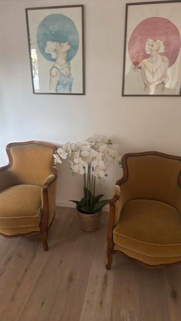 2 zeteltjes te koop  beschikbaar voor biedingen