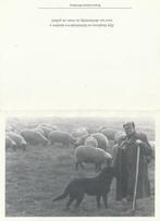 Carolus Fyen met schapen 1914-2001, Collections, Images pieuses & Faire-part, Enlèvement ou Envoi