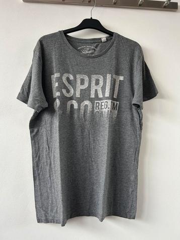 Lot T-shirt mannen maat M beschikbaar voor biedingen