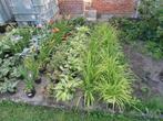 garage en planten verkoop, Ophalen