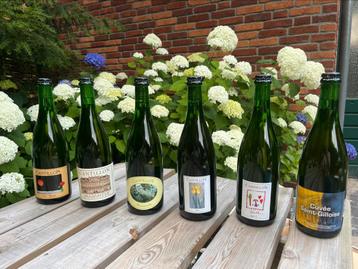 Cantillon variety pack #3 (6 x 0,75l) beschikbaar voor biedingen