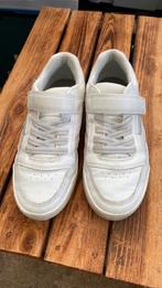 Baskets GEOX P33, Enlèvement, Utilisé, Chaussures