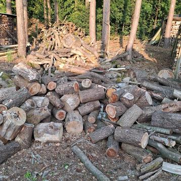 Vogelkers halfdroog maat bespreekbaar. 1,5 jaar oud.  beschikbaar voor biedingen