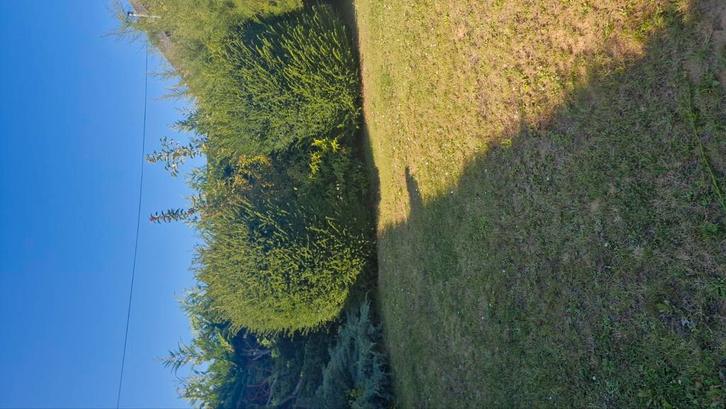 Travail dans le jardinage 17 ans d'expérience 0491.30.91.77, Tuin en Terras, Gras en Kunstgras, Zo goed als nieuw, Ophalen of Verzenden