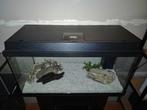 Aquarium Juwel 80 liter (VASTE PRIJS ZIE OMSCHRIJVING), Dieren en Toebehoren, Vissen | Aquaria en Toebehoren, Ophalen
