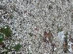 Grote hoeveelheid witte kiezels met grindmatten, Tuin en Terras, Ophalen, Gebruikt, Wit, Kei