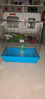 Cage de chant, Animaux & Accessoires, Oiseaux | Cages & Volières, Enlèvement