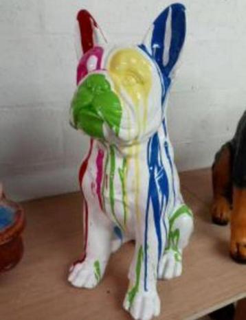 Honden beelden beschikbaar voor biedingen