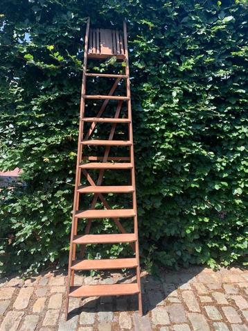 vintage houten ladder (Franco Belge, ca. jaren 50) beschikbaar voor biedingen