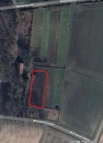 stalling met uitloop te huur, Pâturage, 1 cheval ou poney