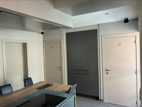 3 Thys schilderdeuren met scharnieren, sloten en klinken., Doe-het-zelf en Bouw, Deuren en Vliegenramen, Gebruikt, Binnendeur