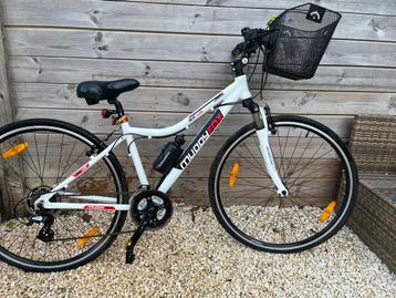 Sportieve stadsfiets voor mannen en vrouwen beschikbaar voor biedingen