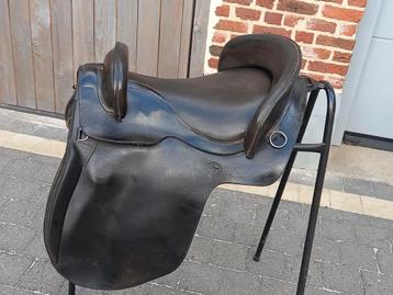 Spaans zadel beschikbaar voor biedingen