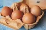 Oeufs de poules délicieux à vendre, Divers, Produits alimentaires, Enlèvement