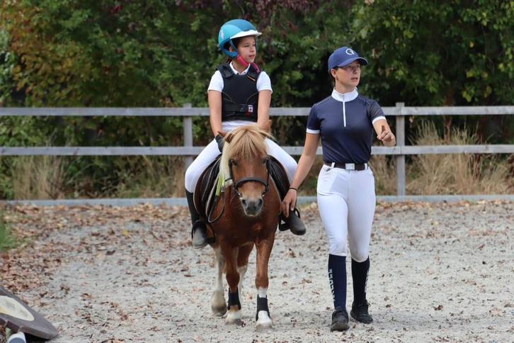 Lesgever aangeboden, Animaux & Accessoires, Chevaux