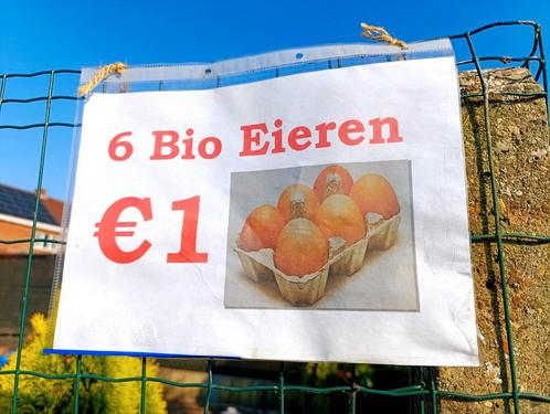 Dierenwelzijn, milieu, gezonde eitjes aan kleine prijs !!, Diversen, Levensmiddelen, Ophalen