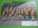 wielerkaart 1971 team molteni merckx - van springel, Verzenden, Zo goed als nieuw