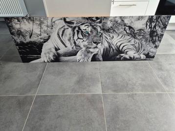 Cadre tigre  156 cm sur 52 cm beschikbaar voor biedingen