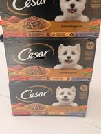 Cesar 24x150gr, Dieren en Toebehoren, Dierenvoeding, Ophalen of Verzenden, Hond