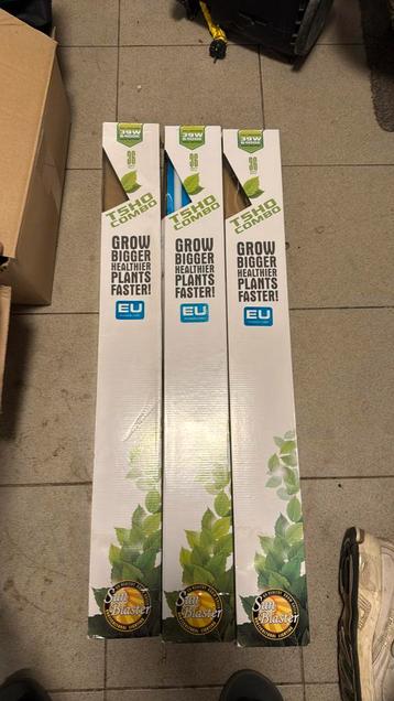 Sunblaster T5HO 36” groeilampen beschikbaar voor biedingen