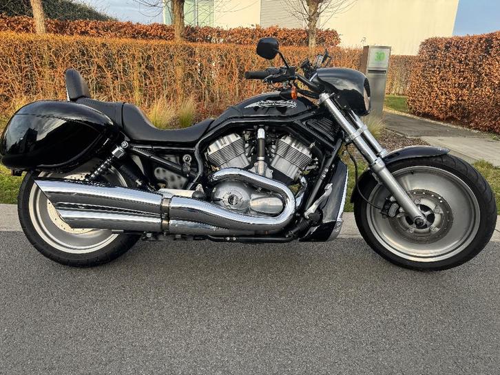 Harley Davidson VRSCB V ROD in prima staat, Motoren, Motoren | Harley-Davidson, Particulier, Chopper, meer dan 35 kW, 2 cilinders