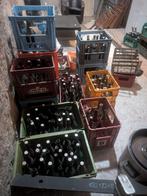 Bouteilles de bières collection, Bouteille(s)