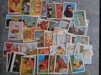 MONTY LEIDEN KAARTJES PLAATJES DE FABELTJESKRANT SERIE 1 55x, Ophalen of Verzenden