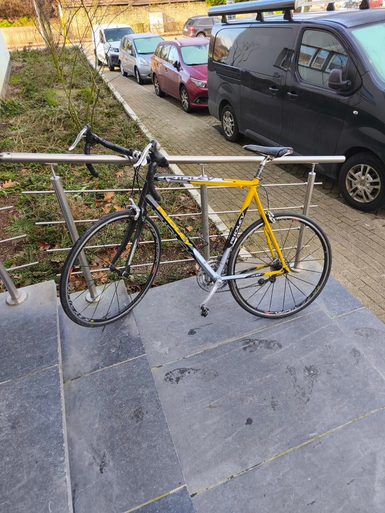 Ridley Velo de route/koersfiets/racing bike campagnolo 60, Vélos & Vélomoteurs, Enlèvement