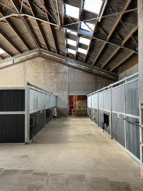 Paarden pension, Dieren en Toebehoren, Stalling en Weidegang, Stalling, Weidegang, 2 of 3 paarden of pony's