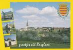 BORGLOON -  Groetjes uit, Verzenden, Ongelopen, Limburg