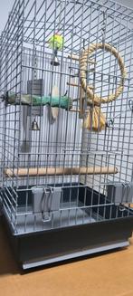 Kooi ediaal voor papegaaien, Dieren en Toebehoren, Ophalen of Verzenden, Zo goed als nieuw