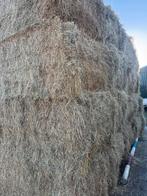 Hooi en stro, Dieren en Toebehoren, Ophalen