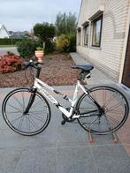 Dames koersfiets, Fietsen en Brommers, Ophalen, Zo goed als nieuw, Meer dan 20 versnellingen