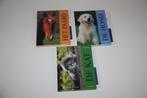 Artis-Historia dieren boeken hond kat paard nieuw, Boeken, Dieren en Huisdieren, Ophalen of Verzenden, Nieuw, Katten