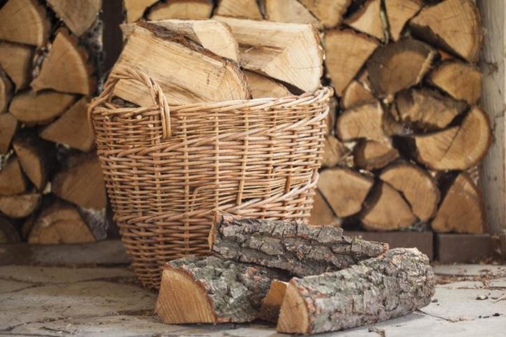 Hout / bomen om te zagen, Tuin en Terras, Brandhout, Stammen, 3 tot 6 m³, Ophalen