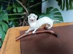 Taxidermie wezeltje, Ophalen of Verzenden, Gebruikt