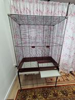 parrot cage