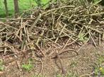 muur ankers te koop, Huis en Inrichting, Woonaccessoires | Wijnrekken, Ophalen