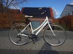 Witte Norta damesfiets, Fietsen en Brommers, Versnellingen, Zo goed als nieuw, 50 tot 53 cm, Ophalen