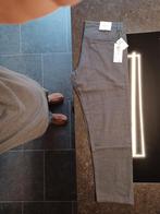 JACK&JONES DONKERGRIJZE HEREN BROEK MAAT W36H32, Kleding | Heren, Nieuw, Ophalen of Verzenden, Grijs, Jack&Jones