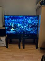 Samsung smart tv qled 4 k 55 pouces., QLED, Enlèvement ou Envoi, Comme neuf, Samsung