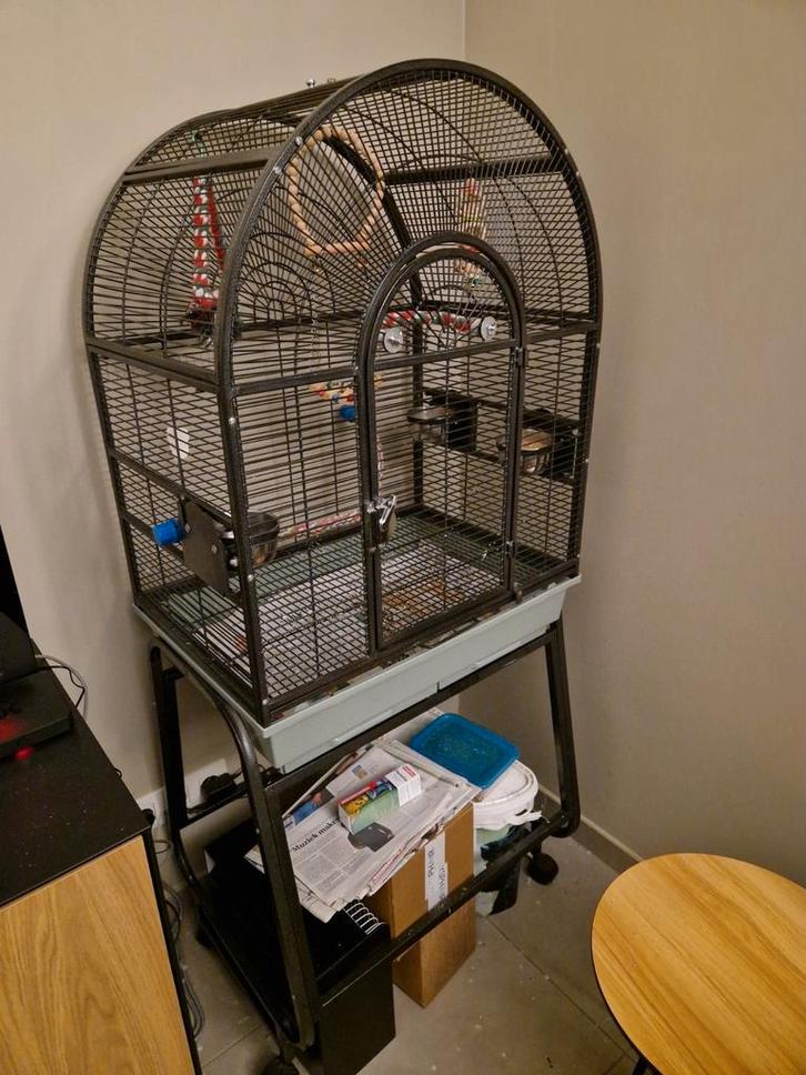Stevige vogelkooi, Dieren en Toebehoren, Vogels | Hokken en Kooien, Zo goed als nieuw, Vogelkooi, Ophalen