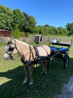 Menwagen tweewieler, Dieren en Toebehoren, Rijtuigen en Koetsen, Zo goed als nieuw, Sulky, Paard of Pony