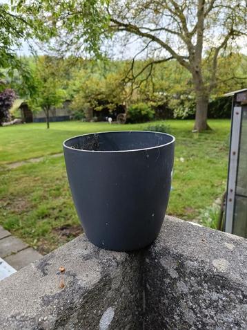 Cache pot Elho beschikbaar voor biedingen