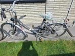 Oxford Dames fiets, Fietsen en Brommers, Gebruikt, Versnellingen, 50 tot 53 cm, Ophalen